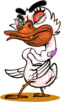 Duck